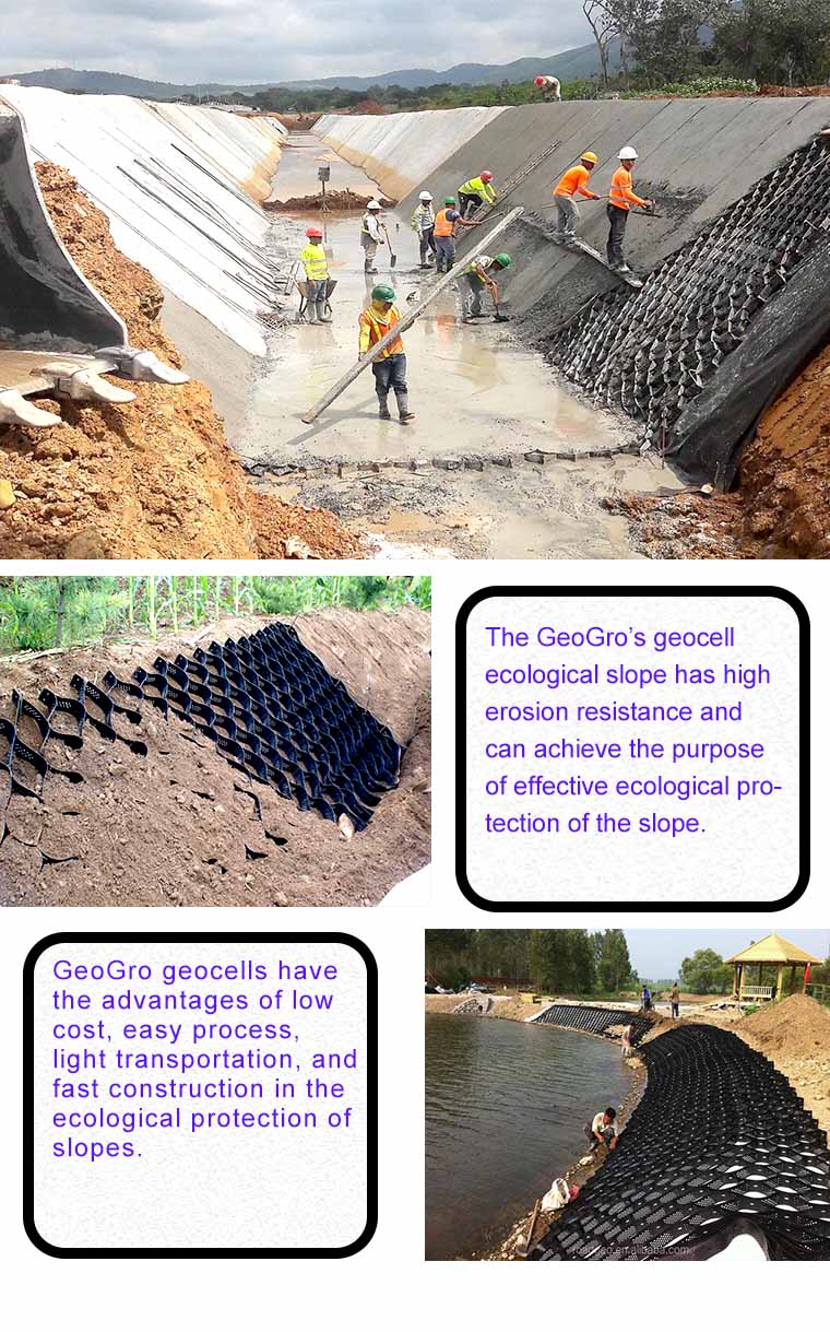 slope protection-GeoGro